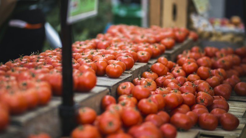 El jitomate subió 22.79% en quince días — y la fonda de tu esquina apenas movió 0.25% su precio